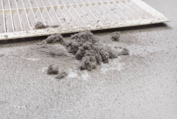 Best Residential Air Duct Cleaning  in St Gabriel, LA